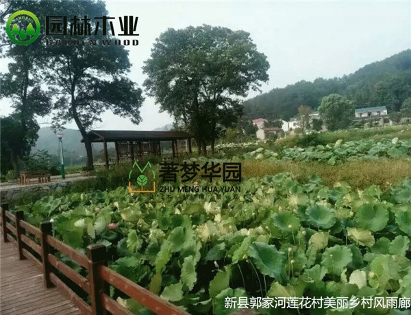 鹤壁91抖音APP官网下载风雨廊